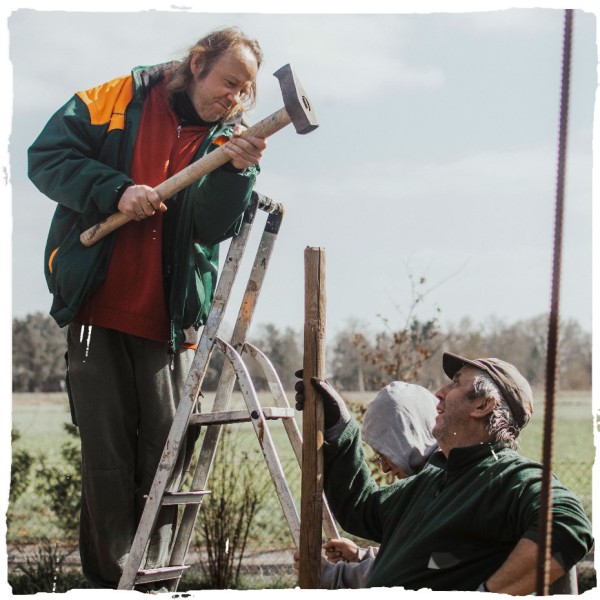 Zwei Mitarbeiter der Gartenwerkstatt – der eine hält einen Pfahl, der zweite steht auf einer Leiter und schlägt mit einem Hammer auf den Pfahl um ihn in der Erde zu fixieren.